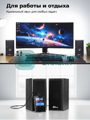 Портативная колонка Ritmix SP-3035W