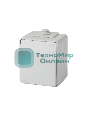 Выключатель ЭРА 11-1601-03 IP65, 10АХ-250В, ОУ, Эксперт, серый