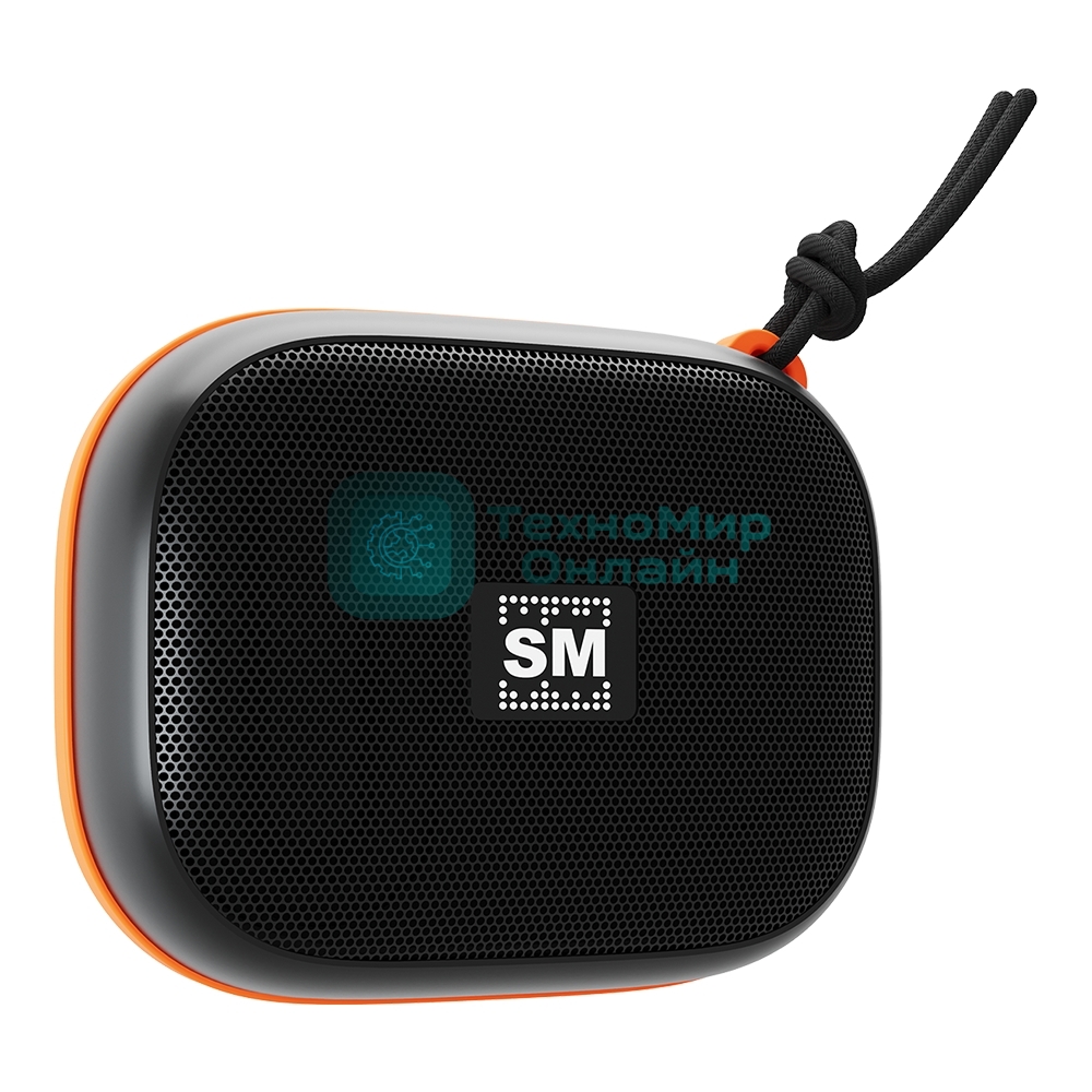Портативная колонка Soundmax SM-PS5009B черный