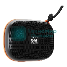 Портативная колонка Soundmax SM-PS5009B черный