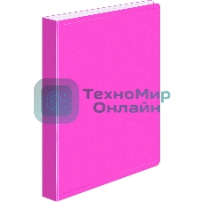 Папка с металлическим пружинным скоросшивателем Бюрократ Double Neon DNE07PPINK A4, пластик, 0.7мм корешок 27мм, карман продольный внутренний, розовый