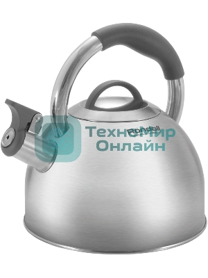 Чайник металлический Rondell Flamme RDS-1899 2.5л. стальной
