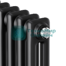 Дизайн-радиатор Royal Thermo Insignia C2180 - 10 секц. RAL9005m