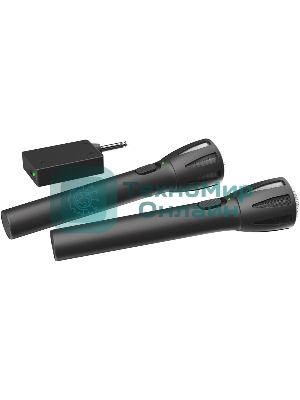 Микрофон Ritmix RWM-302 черный