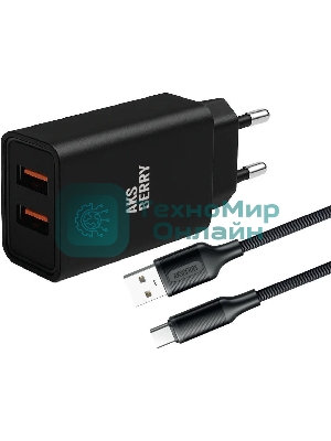 Сетевое зарядное устройство AKSBERRY (6900209230014) T38 2 USB 2.4A + кабель Type C, черный