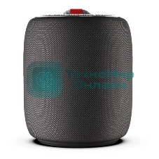 Портативная колонка MONSTER SUPERSTAR s110 черный