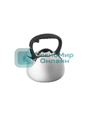 Чайник для плиты ALPENKOK AK-516 нерж.сталь со свистком 3,0л (12)