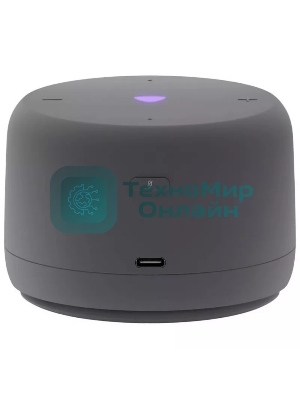 Умная колонка Яндекс Станция Лайт 2, 6Вт, компактная, 1 динамик, Matter, Wi-Fi, Bluetooth 5.0, Алиса, серый