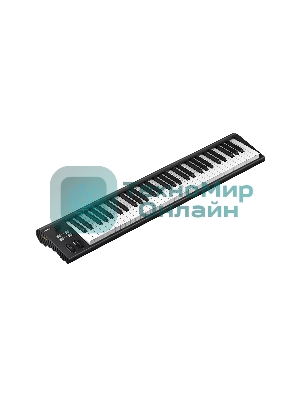 MIDI клавиатура 110105A2031 Icon Artist 61
