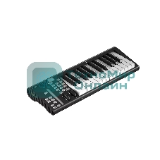 MIDI клавиатура 110105A2033 Icon Artist 25X