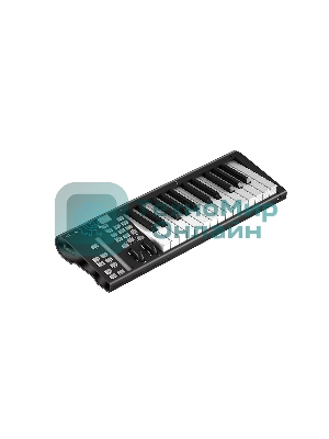 MIDI клавиатура 110105A2033 Icon Artist 25X