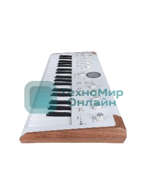 Сценическая клавиатура 230721 Arturia AstroLab 37 White Astrolab White 37 клавиш, полувзвешенная механика, 10 звуковых движков, вокодер, 10 кнопок пресетов, 4 макрорегулятора, MIDI-вход, USB-C и USB-A; аудио Bluetooth; WiFi, цвет белый