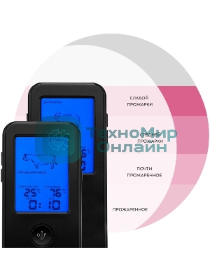 Термощуп Kitfort КТ-2067 черный