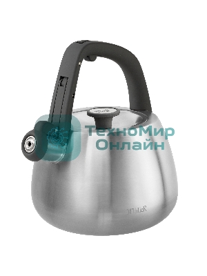 Чайник для плиты TALLER TR-11372 Рейнард 2,2 л