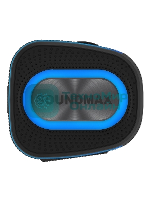 Портативная колонка SOUNDMAX SM-PS5019B черный