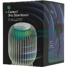 Умная колонка Sber SberBoom, 40Вт, стандартная, 1 динамик, Мультирум, Стереопара, Wi-Fi, Bluetooth 5.0, Салют, белый