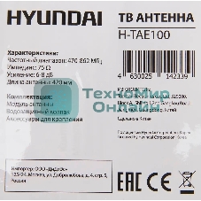 Антенна телевизионная Hyundai H-TAE100 9дБ пассивная серебристый