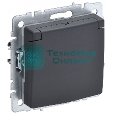 Розетка 1-местная IEK BRITE РСбш10-3-44-БрГ с заземлением, с защитными шторками и крышкой, 16А, IP44, графит