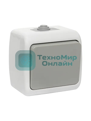 Выключатель EKF Мурманск EFV10-021-30-54 1 -клавишный 10А IP54 серый