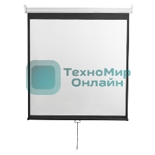 Экран настенный Digis DSOD-4303 (Optimal-D, формат 4:3, 100