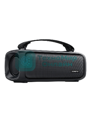 Акустическая система Soundmax SM-PS5021B черный