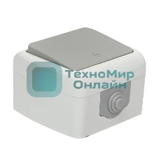 Выключатель проходной EKF Мурманск EFV10-025-30-54 PROxima 1-клавишный 10А IP54 серый