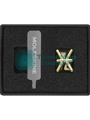 Шильд-символ Moleskine Zodiac Рыбы, металл, золотистый, коробка с европодвесом, PINPISCESGOLD