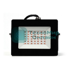 Фитопрожектор Smartbuy (SBL-FLFITO-30-65K)