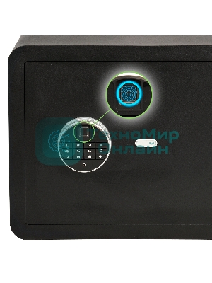 Сейф мебельный Cactus CS-SF-F30 300x420x350мм электронный