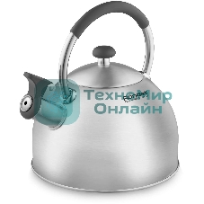 Чайник для плиты металлический Rondell Solo RDS-1608 2.5 л. стальной