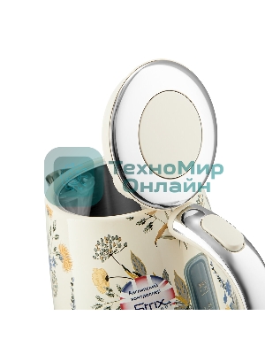 Чайник BRAYER BR1083YE