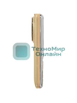 Мобильный телефон BQ 2810 BOOM XL золотистый