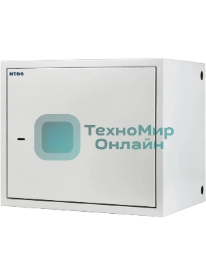 Шкаф настенный антивандальный распашной NTSS WAR 14U 600*500 мм, 2 профиля 19, сварной, серый RAL 7035 NTSS-WAR14U6050