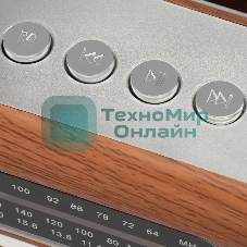 Радиоприемник портативный Hyundai H-PSR200 дерево коричневое/серебристый USB microSD