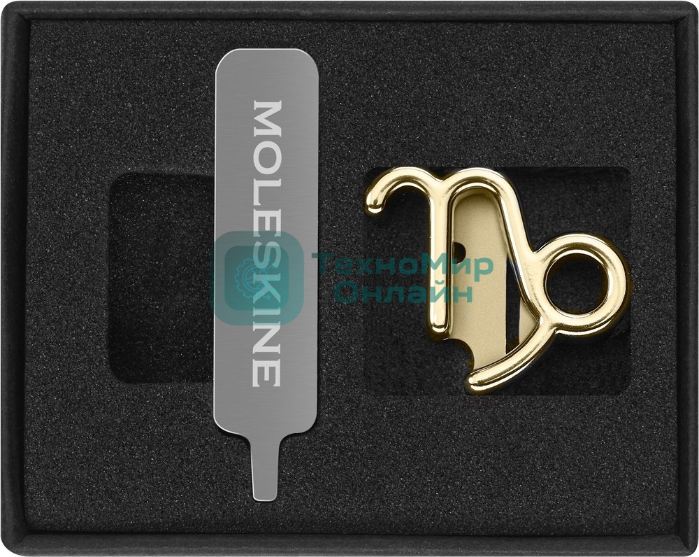 Шильд-символ Moleskine Zodiac Козерог, металл, золотистый, коробка с европодвесом, PINCAPRICORNGOLD