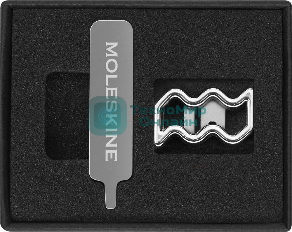 Шильд-символ Moleskine Zodiac Водолей, металл, серебристый, коробка с европодвесом, PINAQUARIUSSILV