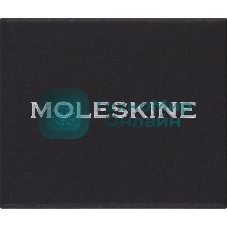 Шильд-символ Moleskine Zodiac Водолей, металл, серебристый, коробка с европодвесом, PINAQUARIUSSILV