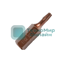 Бита EDGE by PATRIOT T10, сталь S2, длина 25 мм, 2шт в блистере