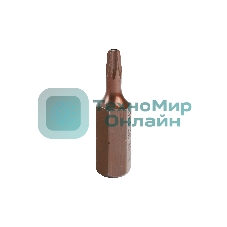 Бита EDGE by PATRIOT T10, сталь S2, длина 25 мм, 2шт в блистере