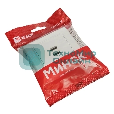 Розетка EKF ERR-2USB-100 Минск USB 2-местная СП 2,1А белая