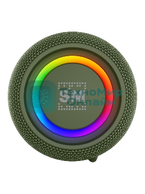 Портативная колонка Soundmax SM-PS5026B зеленый