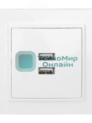 Розетка EKF ERR-2USB-100 Минск USB 2-местная СП 2,1А белая