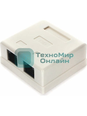 Розетка Cablexpert NA218 RJ-45 кат.6 внешняя 2 порта, 110&Krone