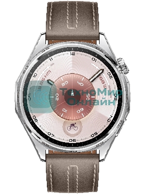 Умные часы Huawei GT 6 ATM-B19 55020FWE серый