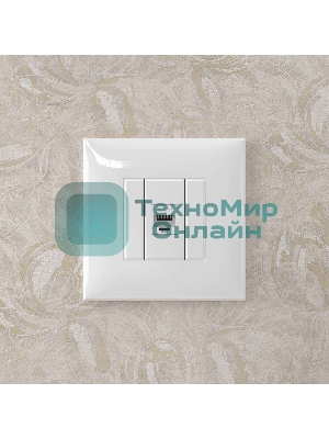 Розетка компьютерная DKC 4400663 1-м СП Avanti 