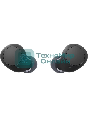 Гарнитура внутриканальные Sony WF-C510 черный беспроводные bluetooth в ушной раковине (WF-C510/BZE)
