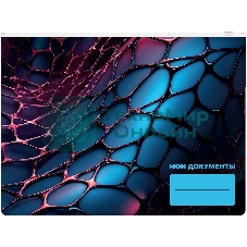 Папка на молнии ZIP Silwerhof Web A4+ ПВХ 0.25мм