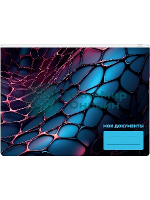 Папка на молнии ZIP Silwerhof Web A4+ ПВХ 0.25мм