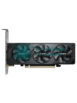 Видеокарта Gigabyte PCI-E 5.0 GV-N5060OC-8GL 1.0 NVIDIA GeForce RTX 5060 8Gb 128bit GDDR7 2512/28000 HDMIx1 DPx3 HDCP Ret low profile