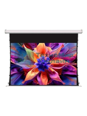 Экран для проектора S'OK SCPSMT-221x125ED30-GR 100 